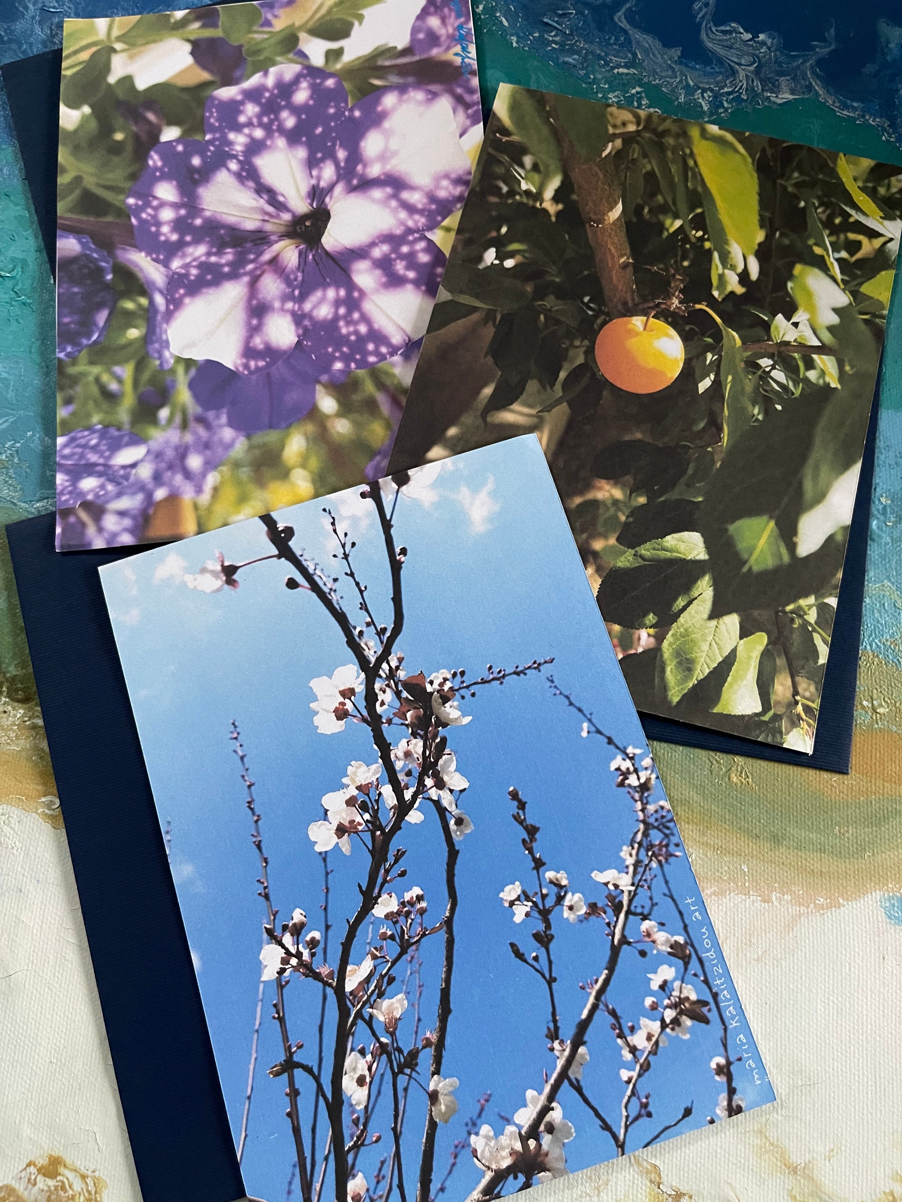 Blossom Postal Cards