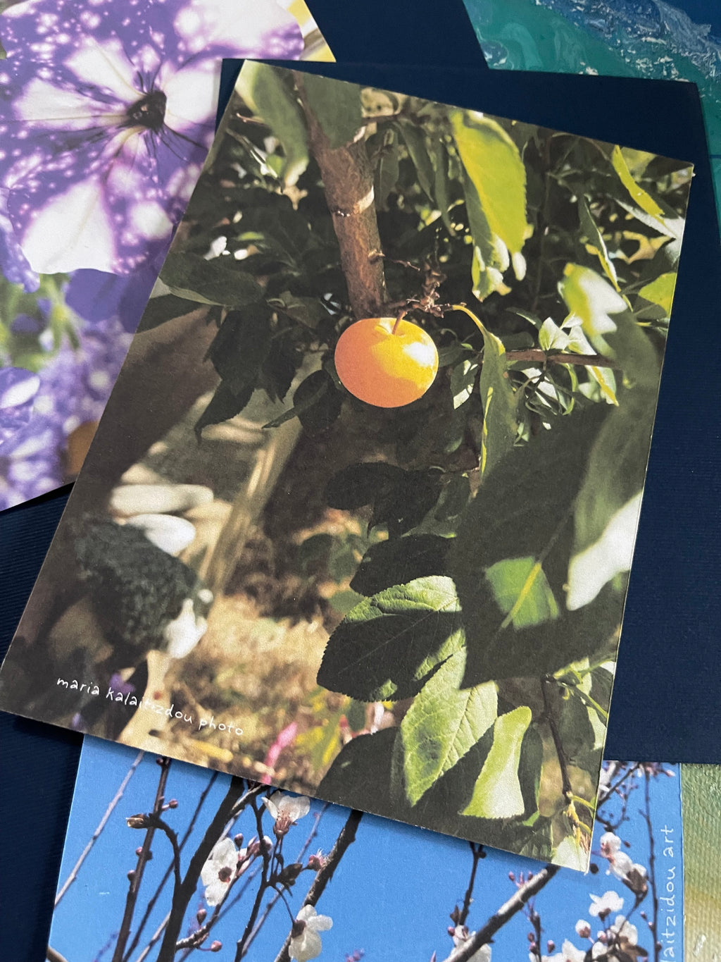 Blossom Postal Cards