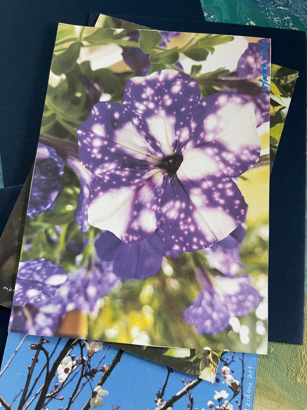 Blossom Postal Cards