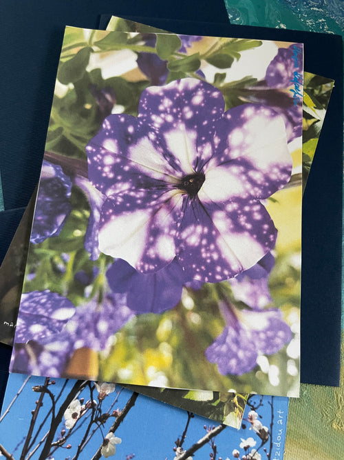 Blossom Postal Cards